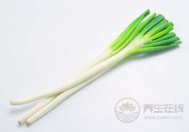 蔥竟然有這樣不可思議的治病功效