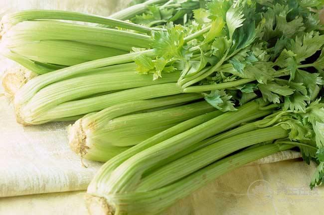 芹菜葉有這么多的養(yǎng)生功效，扔掉可惜了