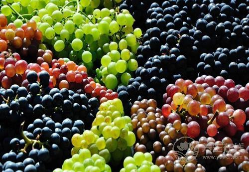 葡萄好吃營養高，但也別小看了它的皮，渾身都是寶