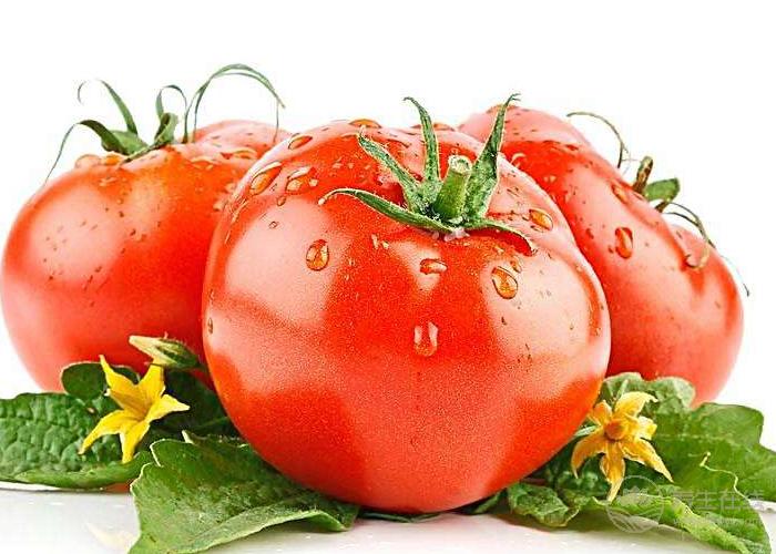 早餐怎么吃既營養又減肥？