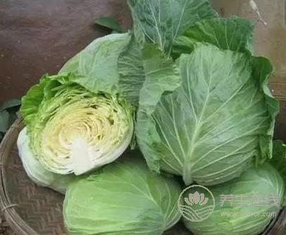 少喝奶制品，常吃這1味防腸炎！