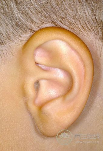 據說補腎不用吃藥，只要按摩耳朵即可