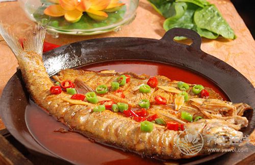 為什么全世界的飲食指南都鼓勵吃魚？