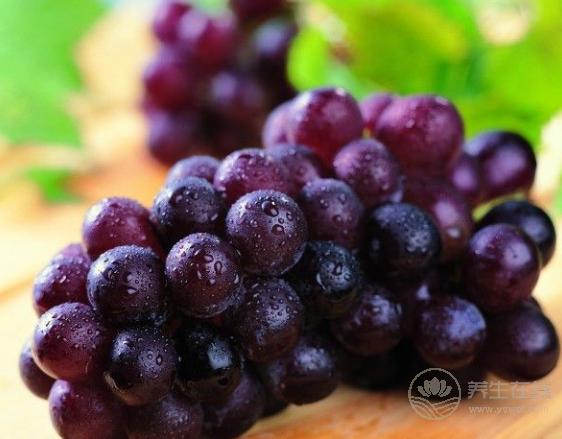 補血養顏就多吃這6種食物