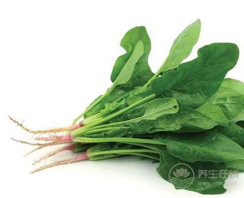 貧血吃什么？這4種食物補血效果不比紅棗差