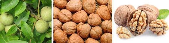 八種果蔬，護心臟，保健康