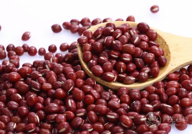 紅豆的好處那么多,難怪古代人稱它為“心之谷” 紅豆的好處那么多,難怪古代人稱它為“心之谷”