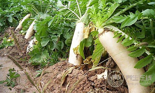 抗癌能力最強的果蔬，沒想到它是第一