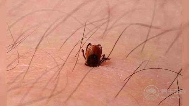 國(guó)慶出游，遇到“旅游病”怎么辦？