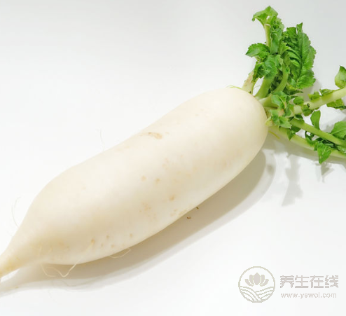 這些食物堪比人參，滋補又營養，你吃了嗎？