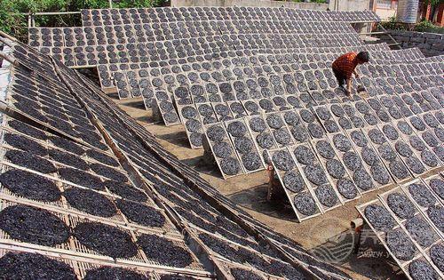 1種家常菜被稱為長壽菜，抗癌降三高，人人吃得起