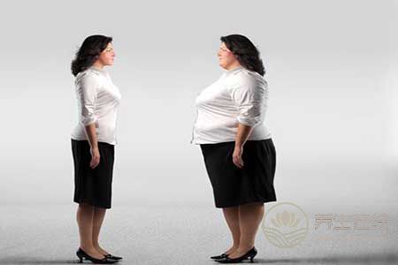 脾胃虛寒的人會發胖嗎?