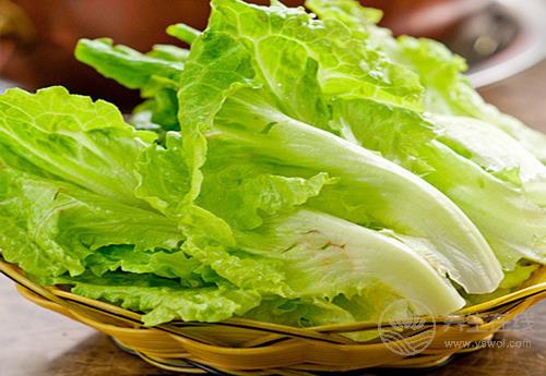 常吃生菜，對身體有這些好處，你知道嗎？