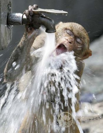 中和酸性體質，堿性機能水抗癌真有效？