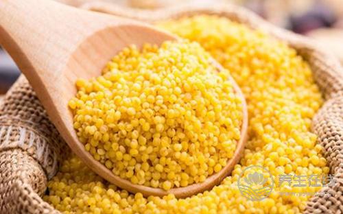 小米的5種好處，常吃小米好處多