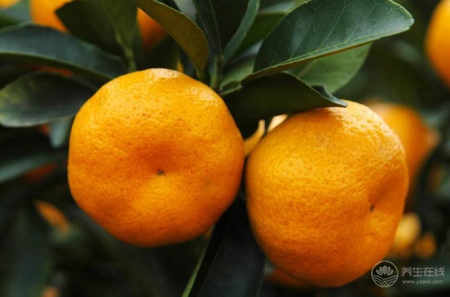 這7種食物對肺好，平常要多吃！