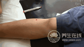 要想脾胃好，可經常艾灸這2個穴位