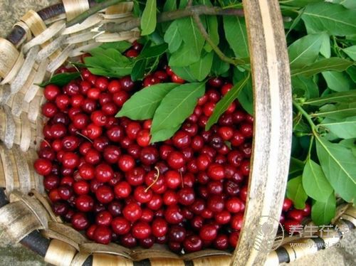 常吃7種食物，抗皺美容更顯年輕