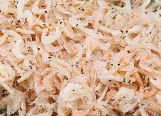 蝦皮不能和什么一起吃？