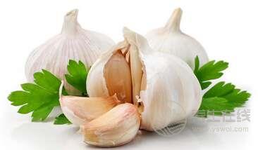 推薦能夠藥食兩用的食物