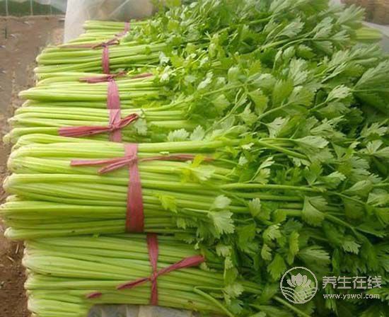 多吃蔬菜容易避免口腔上火