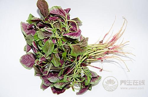 夏天要清熱解暑，怎么能少了這幾種蔬菜