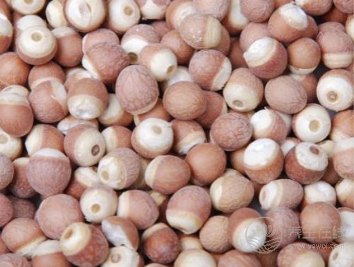 健脾祛濕不麻煩, 食療妙招來幫忙