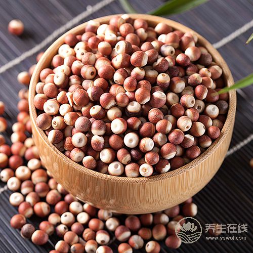 食療養生：食物調理脾胃小幫手