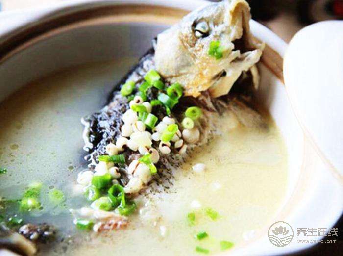 腸胃不好怎么調理 幾款食療保胃健康