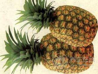 養胃水果有哪些？