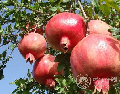 學(xué)會(huì)4招,天天吃甜食也不會(huì)胖 學(xué)會(huì)4招,天天吃甜食也不會(huì)胖