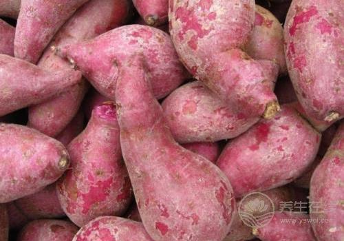 愛(ài)吃紅薯的注意：紅薯不能跟6種食物一起吃！
