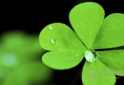 末伏養肝，這幾點需要注意