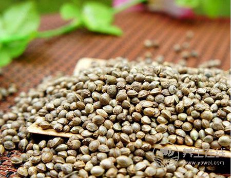 它可潤腸通便、滋陰補虛、降壓降脂，是長壽之寶