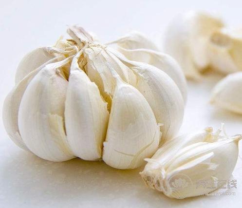 生活中常見的食物，居然能把血壓降下來