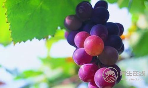 這5種水果皮效果驚人，吃完別再丟了！