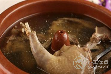 乳鴿燉湯該怎么做法,乳鴿的功效和作用