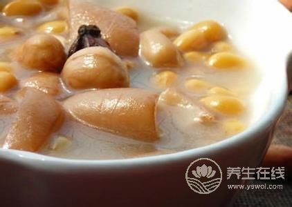 推薦3款含膠原蛋白食物，多吃更顯年輕