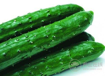 5種減脂食物放心吃，讓你瘦足一整夏！