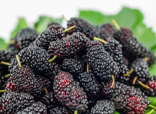 補血不想吃豬肝，那就選這些水果