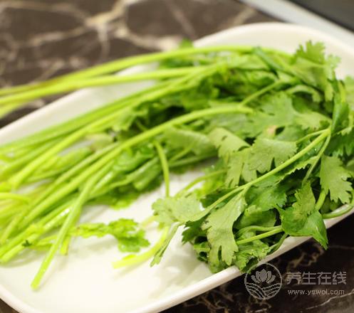 香菜是個寶，健胃消食營養(yǎng)豐富，可惜很多人不愛吃