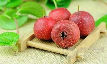 一直消化不良吃什么好呢 一直消化不良吃什么好呢