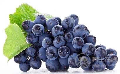 吃梨能降血脂 這些平凡食物也能降血脂