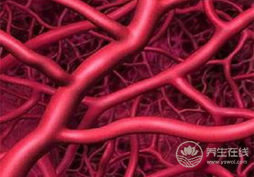 圍巾不只是時尚飾品，還是養生的利器！