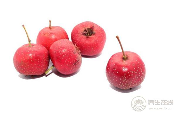 冬天進(jìn)補(bǔ)需注意：羊肉不要與4種食物一起吃