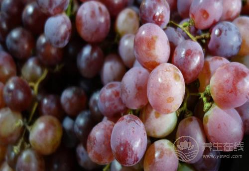 皮膚狀況太糟糕?試試這幾種食物,能讓皮膚更水潤 皮膚狀況太糟糕?試試這幾種食物,能讓皮膚更水潤