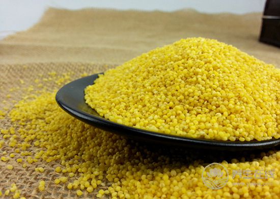 食療養生：食物調理脾胃小幫手