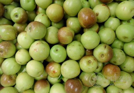 冬棗不能與什么同吃,冬棗不能和什么一起吃