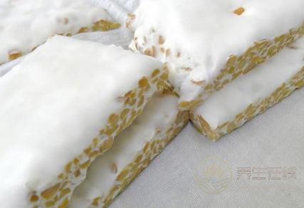 生活中7種食物富含益生菌 常吃養腸胃