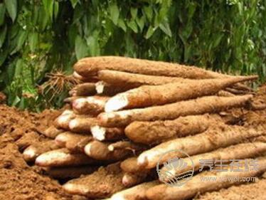 幾招食譜吃出前凸后翹曲線